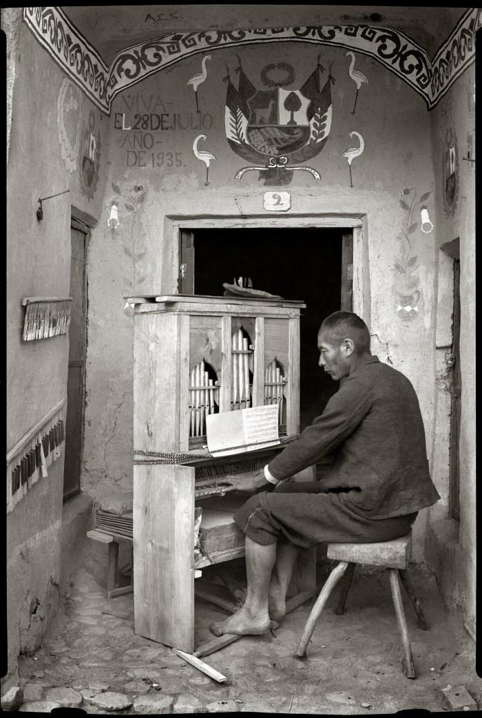 ORGANISTA DE TINTA - MARTIN CHAMBI