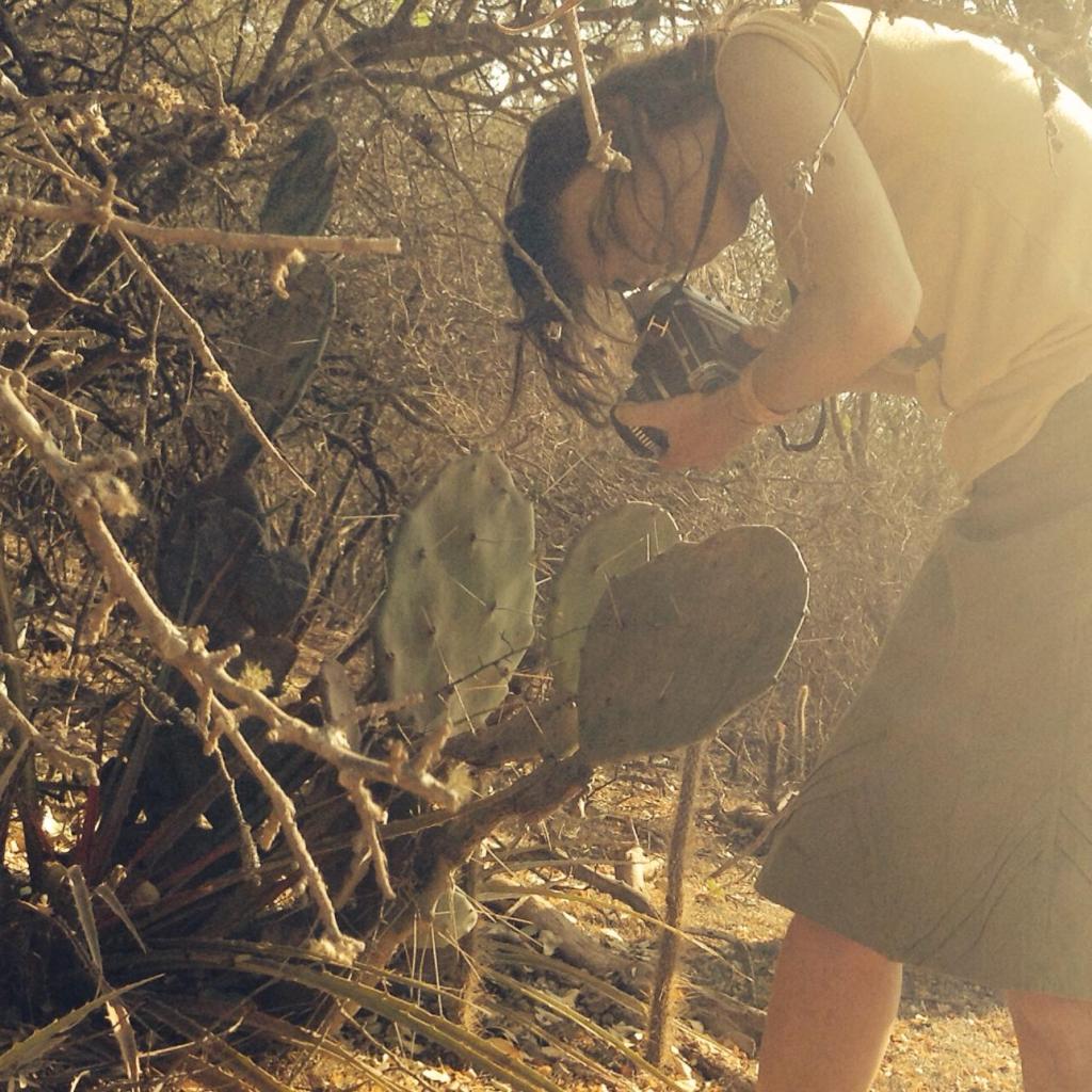Guadalupe Miles, una porteña en el Norte