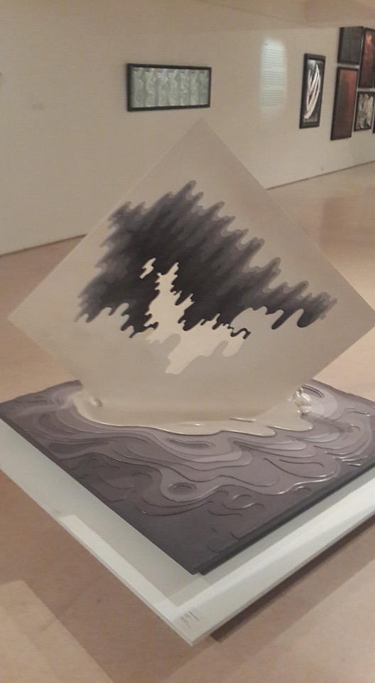 13501726_717535268384617_2815168936618546701_n