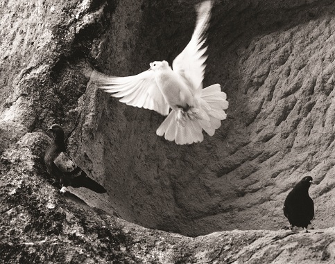 Pitgeons. Goreme valley. Capadocia. Turkey. 1997. Foto: Aldo Sessa.