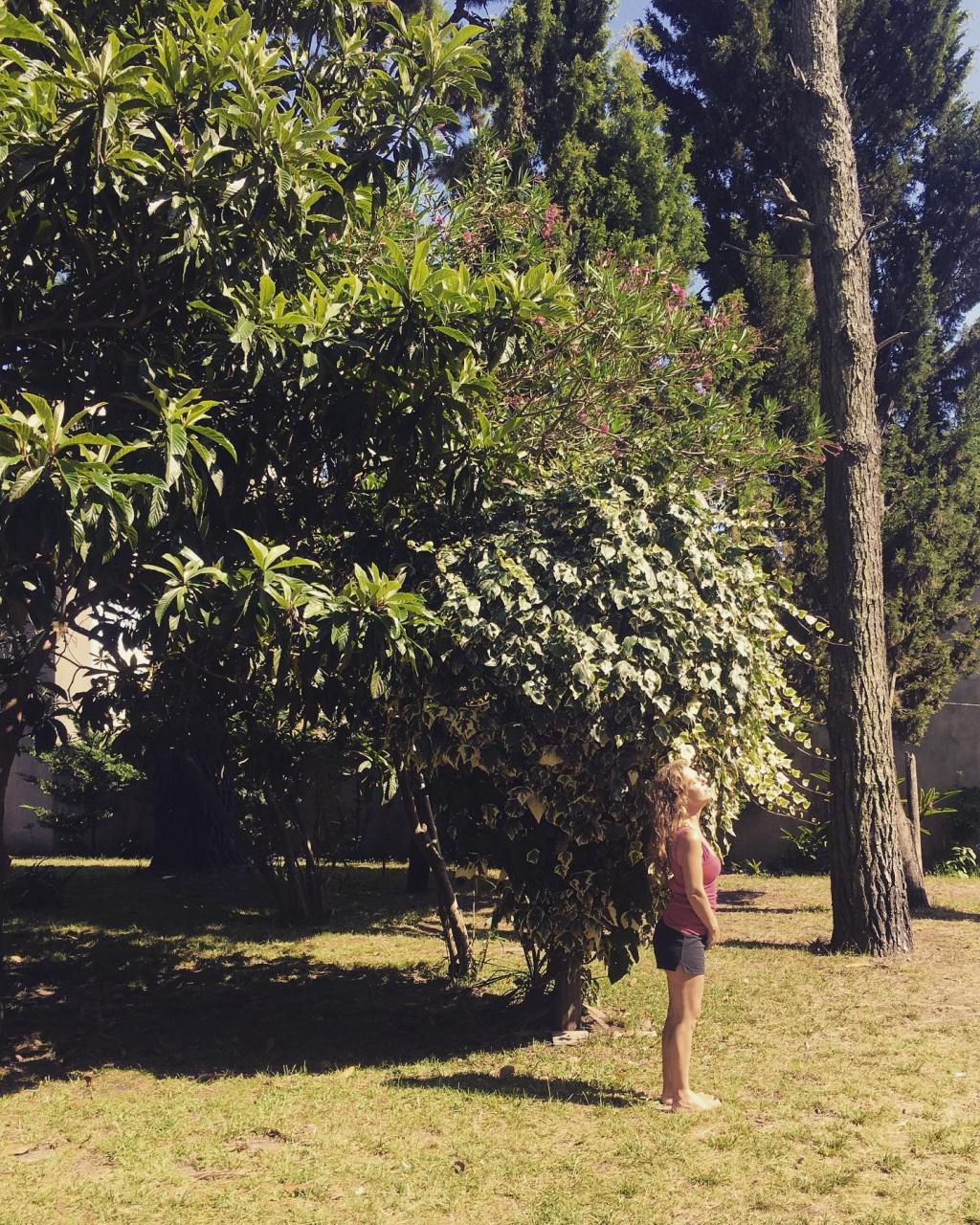 Lecturas, herencias y rituales de&nbsp;verano